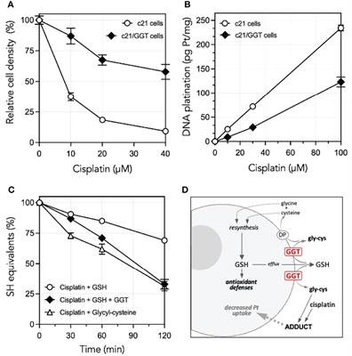 Redox Mechanisms in Cisplatin Resistance of Cancer Cells: The Twofold Role of Gamma-Glutamyltransferase 1 (GGT1)